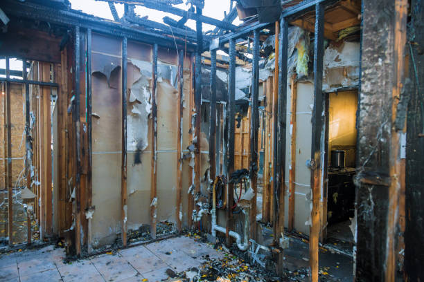 Professional Smoke Damage Restoration technician working in Mayer, MN